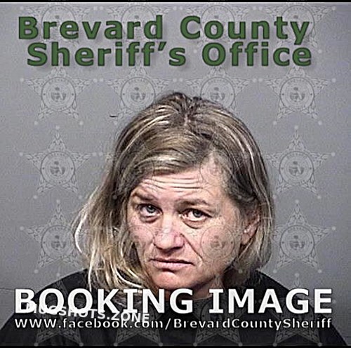 Curtis Shawman Lynn 03022021 Brevard County Mugshots Zone