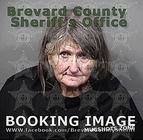 NOLAND PATRICIA ANN Brevard County Mugshots Zone