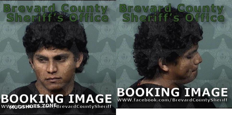 HERNANDEZ PAZ JORGE JAVIER 12/07/2022 - Brevard County Mugshots Zone