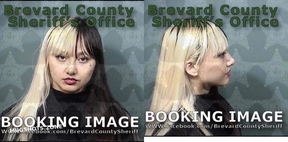 VO MARIANNE THANH 05/19/2023 - Brevard County Mugshots Zone