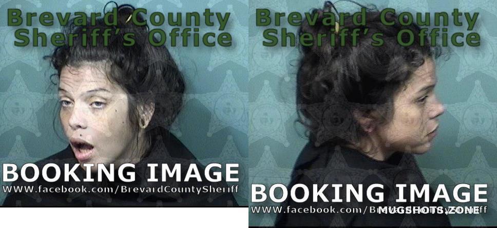 REYES ANGELICA MARIA 10/23/2023 - Brevard County Mugshots Zone