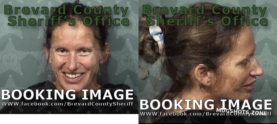 CHAPMAN ELIZABETH CHRISTINE 11/21/2023 - Brevard County Mugshots Zone