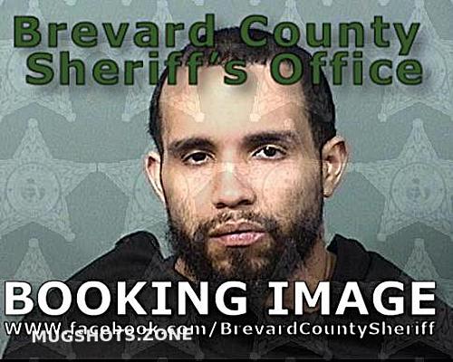 WILLIAMS REALITY 05/04/2024 - Brevard County Mugshots Zone