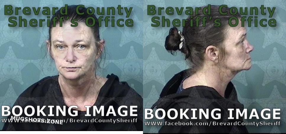 LIVENGOOD DEBRA DIANE 06/11/2024 - Brevard County Mugshots Zone