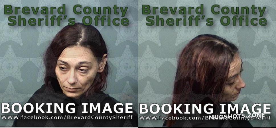JONES BRITTANY MARIE 06/20/2024 - Brevard County Mugshots Zone