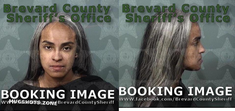 ORTEGA AMY JESSICA 07/13/2024 - Brevard County Mugshots Zone