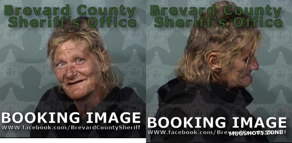 MATHERS NANCY KELLY 07/20/2024 - Brevard County Mugshots Zone