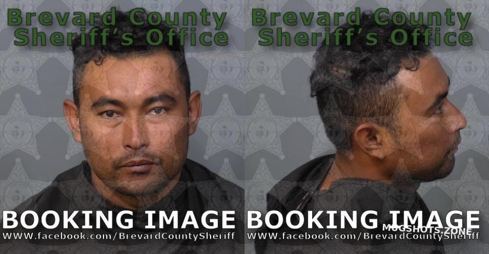 FERNANDEZ ENAMORADO JOSE A 03/22/2025 Brevard County Mugshots Zone