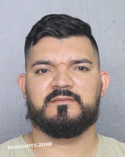 Castro Umana Emilio Ronald Broward County Mugshots Zone | My XXX Hot Girl