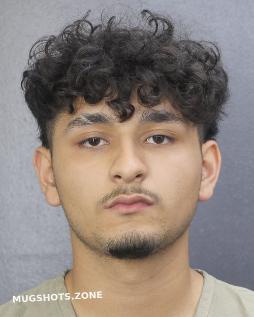 VILLANUEVA ALEMAN ANTHONY EIRINEO 04/26/2024 - Broward County Mugshots Zone