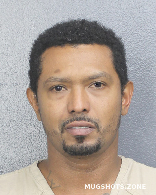 Real christmas trees in clemont fl