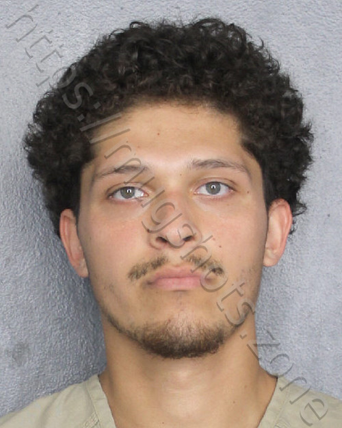 OMANA RIVERO ALLEN LENIN 05/21/2026 - Broward County Mugshots Zone