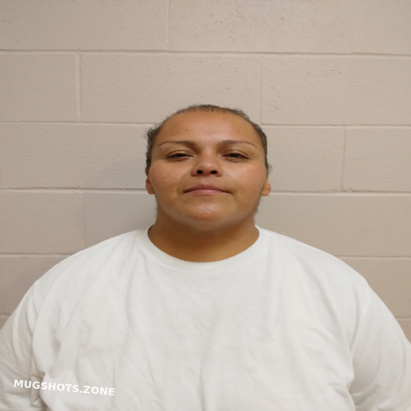 CASTILLO ANNA 02/20/2024 - Brown County Mugshots Zone