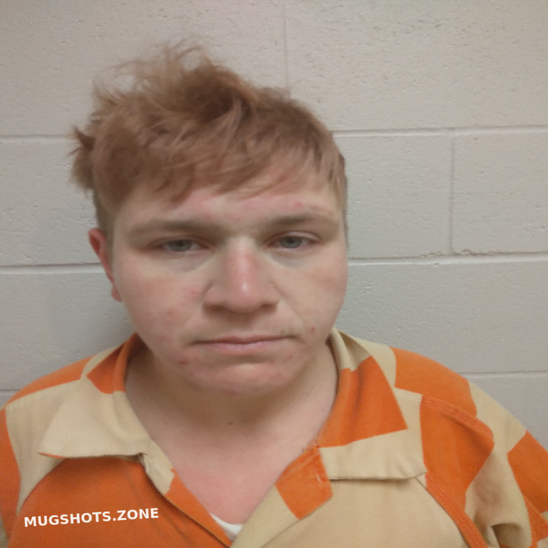STARKS CARISSA HELEN 04/04/2024 Brown County Mugshots Zone