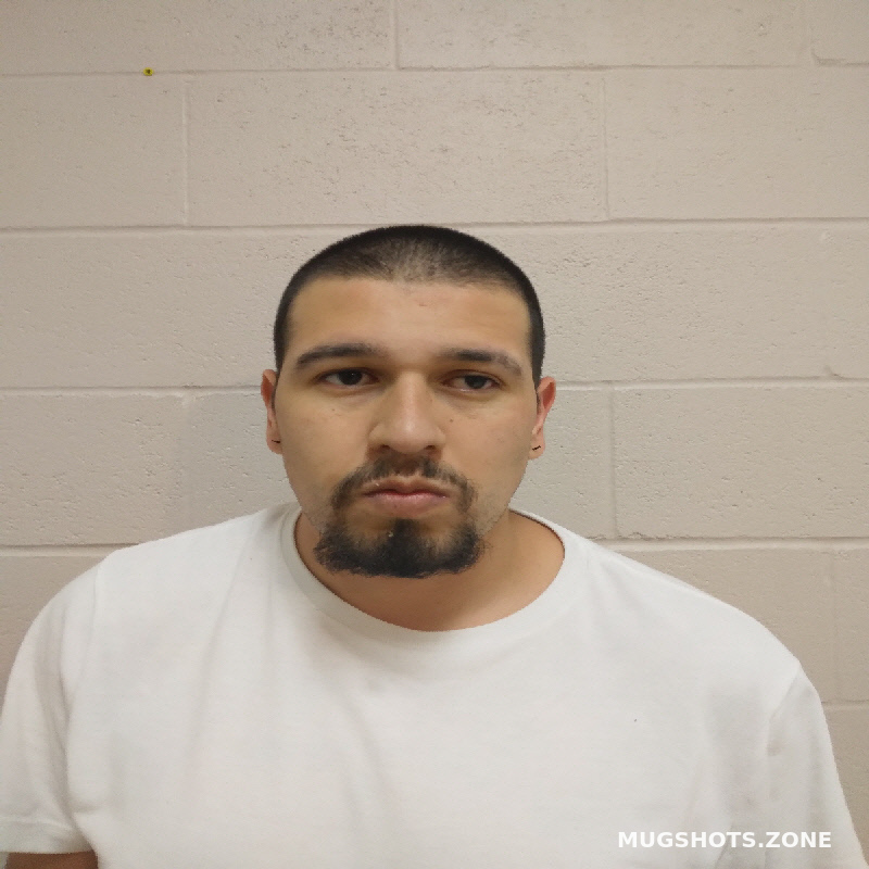 ALVARADO RAMON 05/31/2024 Brown County Mugshots Zone