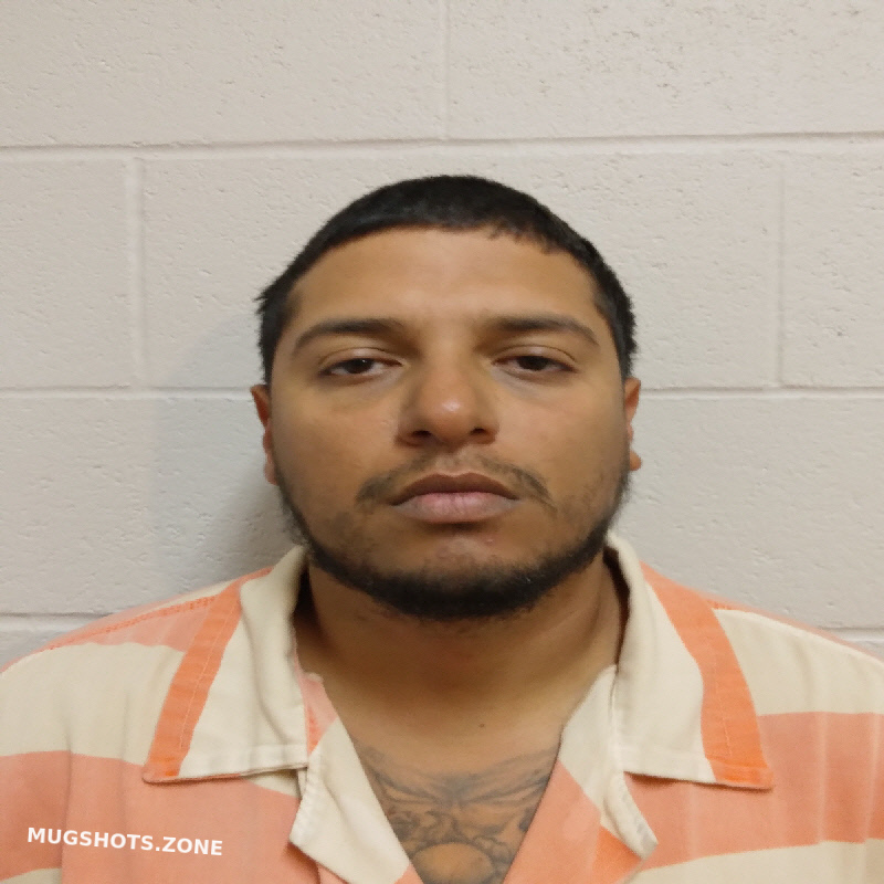 PALACIOS ROEL 03/25/2025 Brown County Mugshots Zone