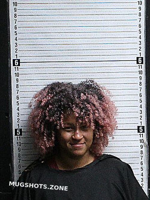 WHITE FABRIN KIANDRA 10/31/2025 Brunswick County Mugshots Zone