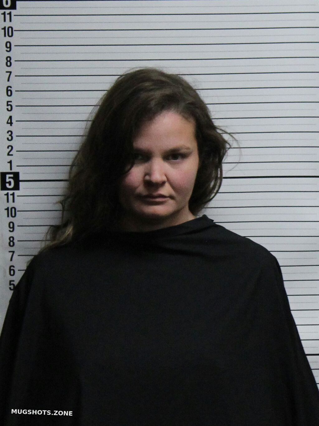 How to Find Brunswick County Jail NC Mugshots Safely
