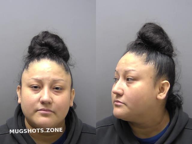 Botello Silvia 04 24 2024 - Buchanan County Mugshots Zone