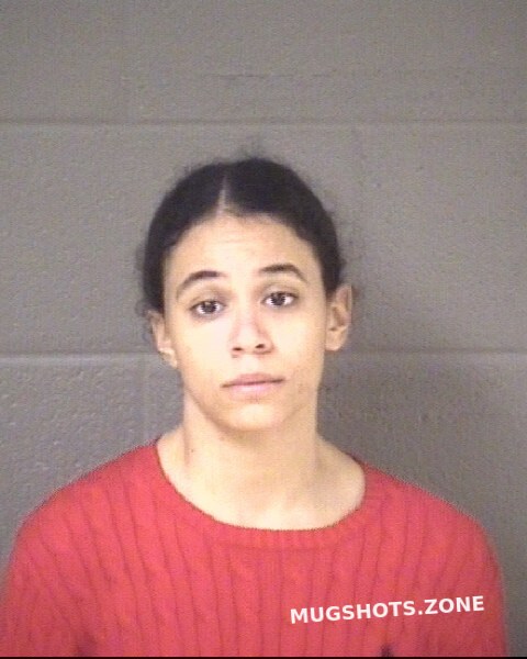 Vasquez Margery Nicole 11 29 2022 Buncombe County Mugshots Zone