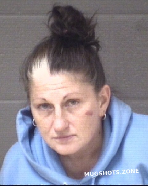 Plemmons Rebecca Clark 11 30 2022 Buncombe County Mugshots Zone