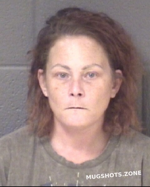 Holt Diane Bradley 08 17 2023 Buncombe County Mugshots Zone