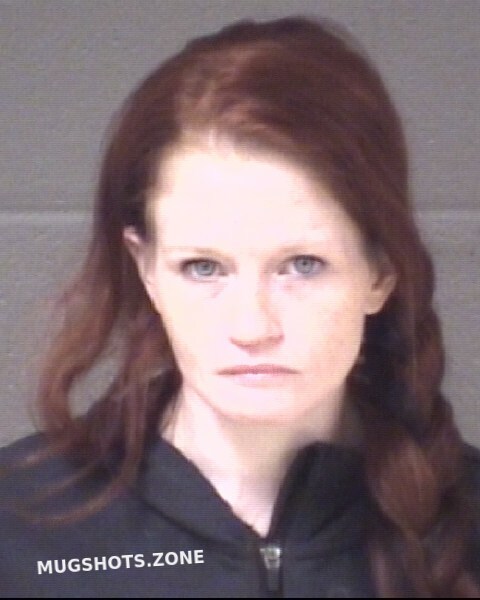 Nielsen Brittany Marie 11 16 2023 Buncombe County Mugshots Zone