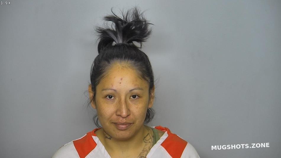 YOUNGBEAR KAYLA ANN 06/13/2023 Burleigh County Mugshots Zone