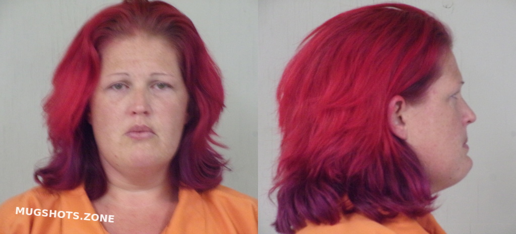 WARD AMY MICHELLE 12/11/2023 - Burnet County Mugshots Zone