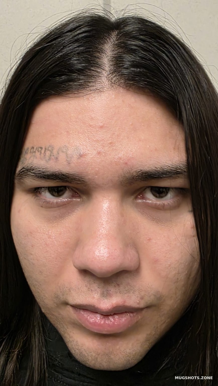 BRIONES CHRISTIAN 02/20/2025 County Mugshots Zone(02)