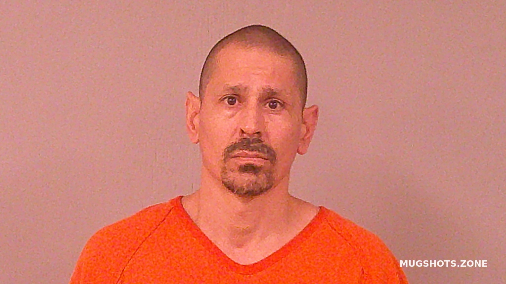 REYES RICHARD JR 08/21/2025 - Burnet County Mugshots Zone