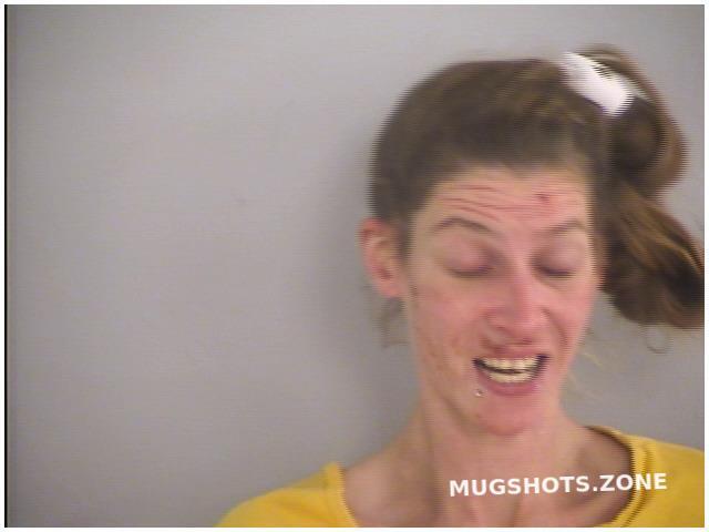 Ballinger Leslie Anne 12072021 Butler County Mugshots Zone 7686