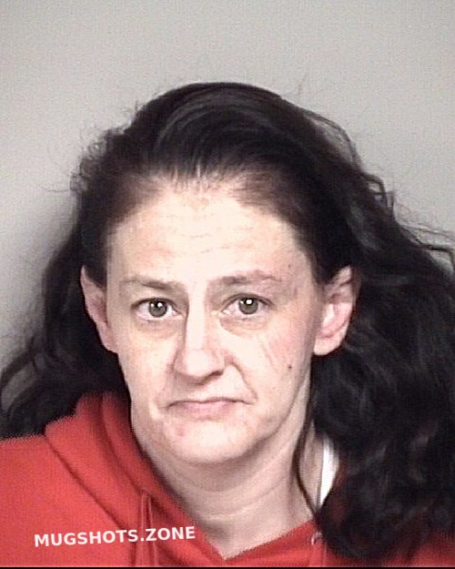 HILL CYNTHIA MEDLIN 02/03/2024 - Cabarrus County Mugshots Zone