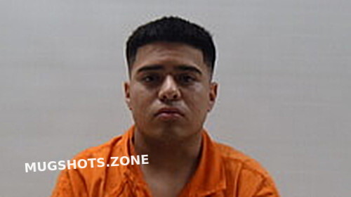 LLANAS ERIK ESSAI 03/12/2023 - Cameron County Mugshots Zone