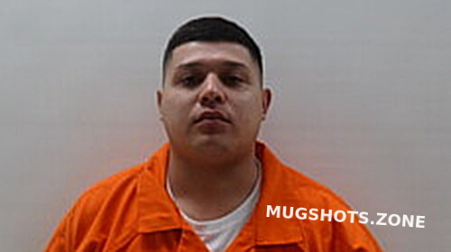 ZAMARRIPA SAUL 07/22/2024 - Cameron County Mugshots Zone