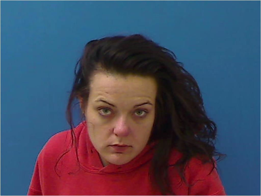 ROGERS BRITTANY NICOLE 02/12/2021 - Catawba County Mugshots Zone