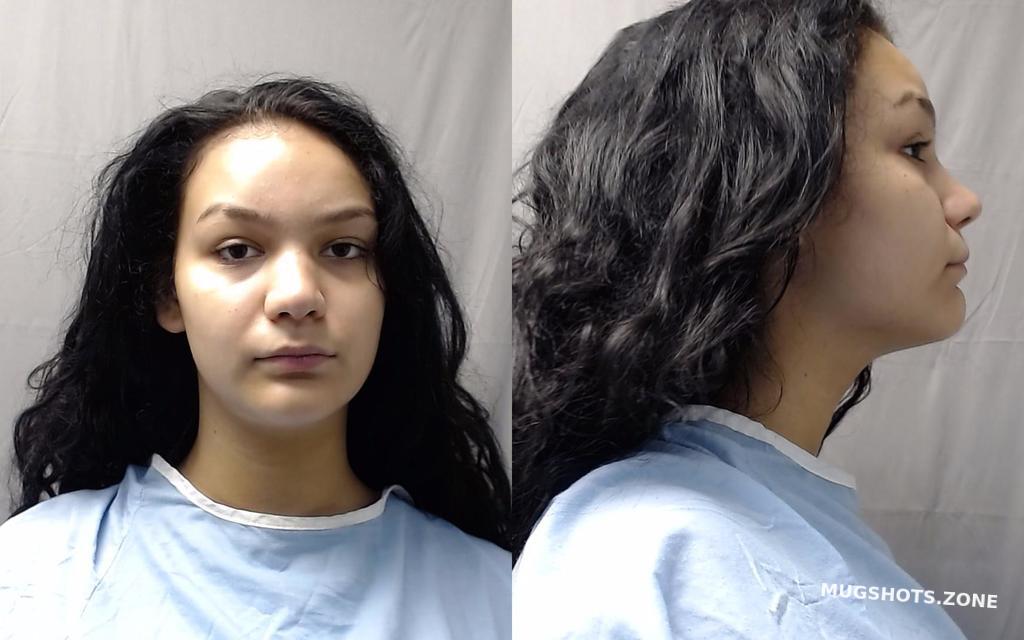 Schlernitzauer Adriana Jade 07152021 Champaign County Mugshots Zone