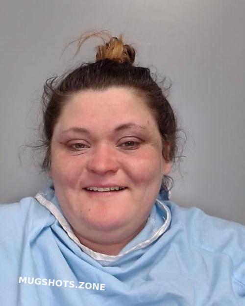 PRITCHARD MOLLIE RENE 09/02/2022 Champaign County Mugshots Zone