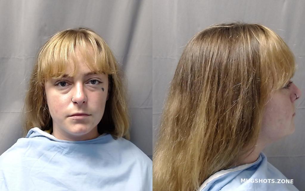 Kelly Haley Christine 09 27 2022 Champaign County Mugshots Zone