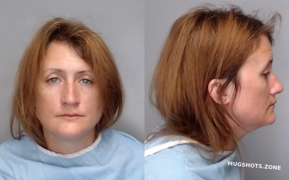FISHER STEPHANIE ALLISON 11/24/2022 Champaign County Mugshots Zone