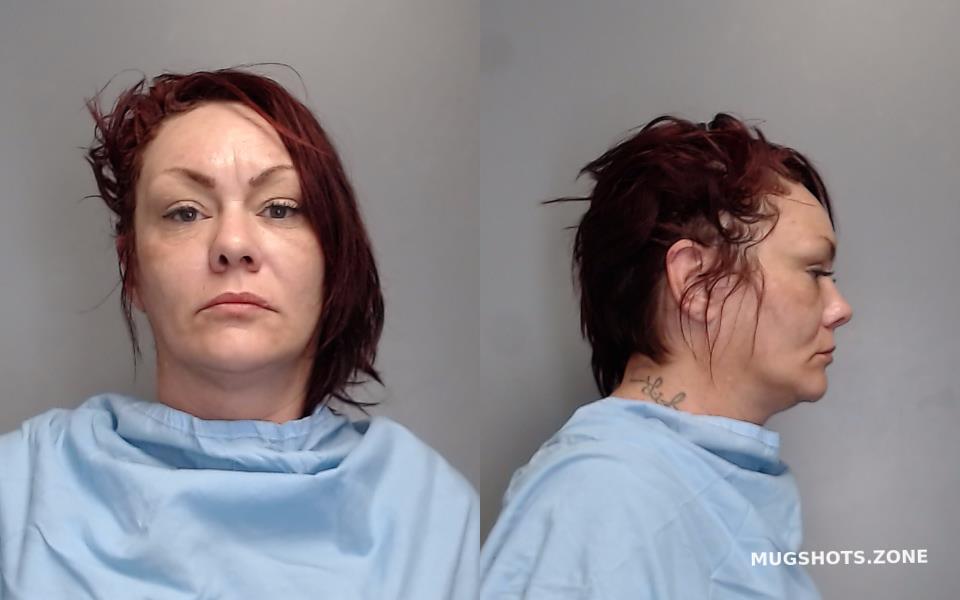 JOCELYN APRIL ELIZABETH 11/26/2022 - Champaign County Mugshots Zone