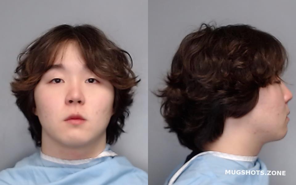 SON YUBIN LEE 02/07/2023 - Champaign County Mugshots Zone