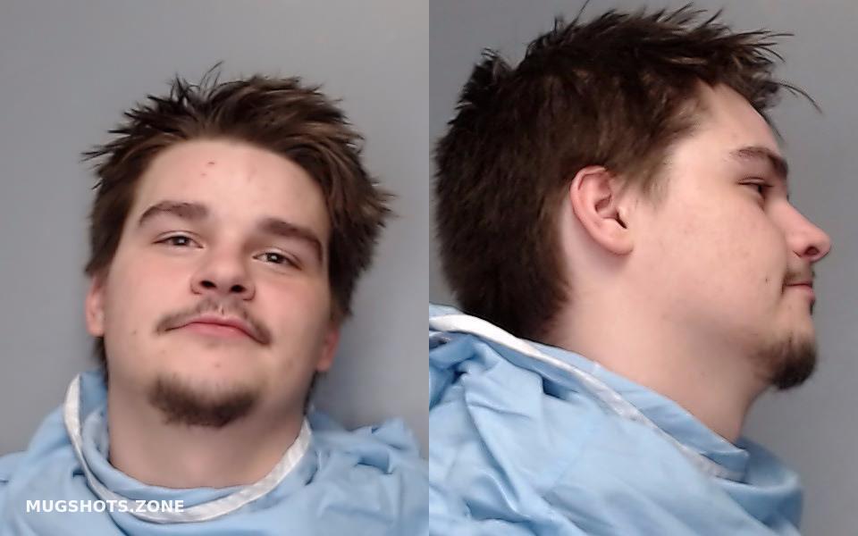 Watson Ryley Christopher 02092023 Champaign County Mugshots Zone