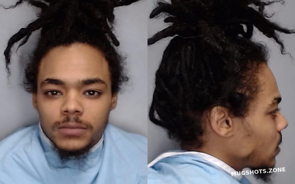 STEVENSON ROGER JAMES 02/10/2023 Champaign County Mugshots Zone