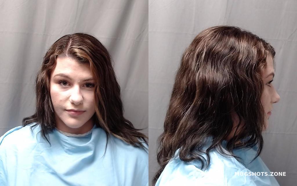 Veseli Ariana 03 01 2023 Champaign County Mugshots Zone