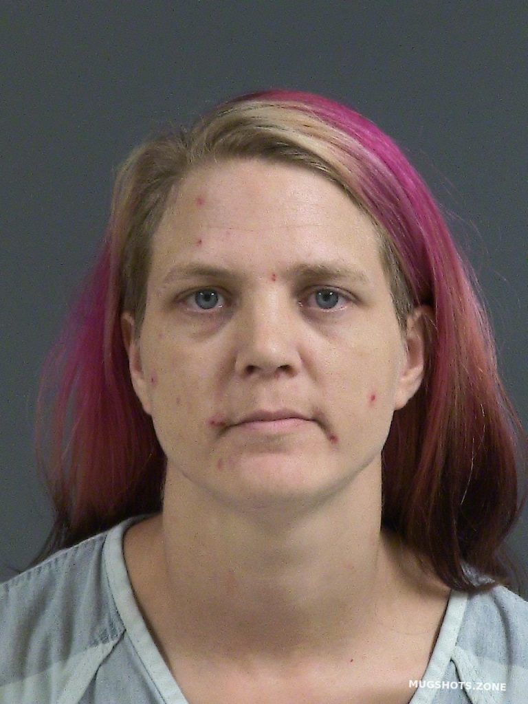 Davis Samantha Louise Charleston County Mugshots Zone