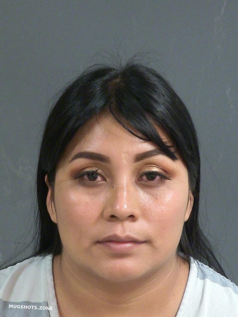 DELA TORRES ANGELICA 10/15/2022 Charleston County Mugshots Zone