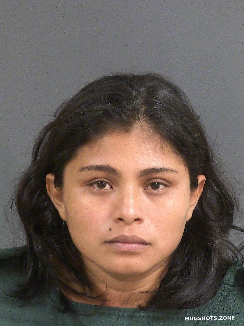 ROSA-GUERRA MARLEN ANTONIA 06/25/2023 - Charleston County Mugshots Zone