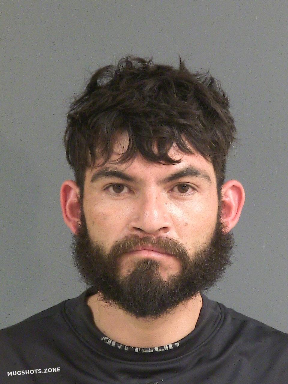 TOVARPONCE FELIPE DE JESUS 04/02/2024 Charleston County Mugshots Zone