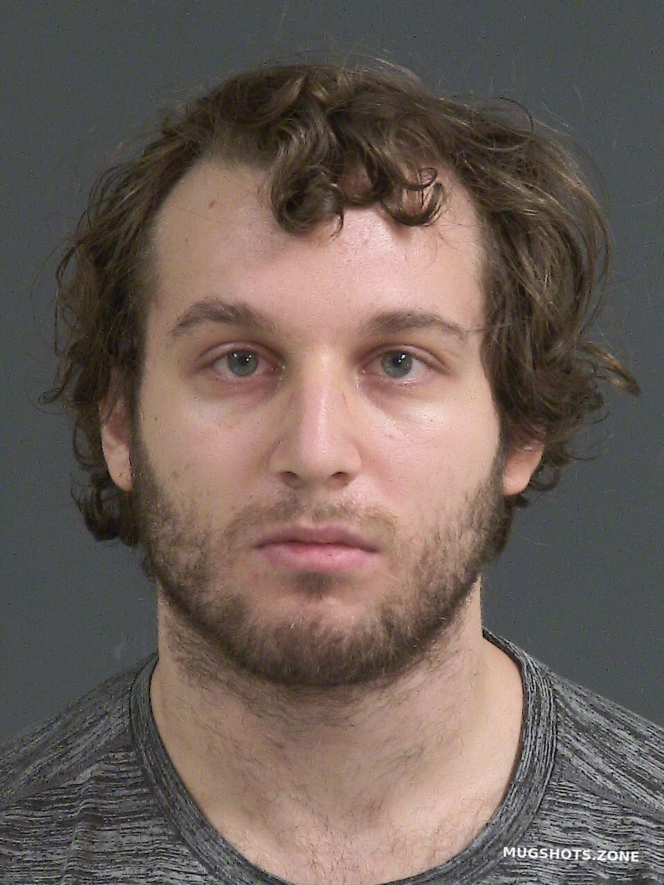 WEBER AIDEN KELLY 10/10/2024 Charleston County Mugshots Zone